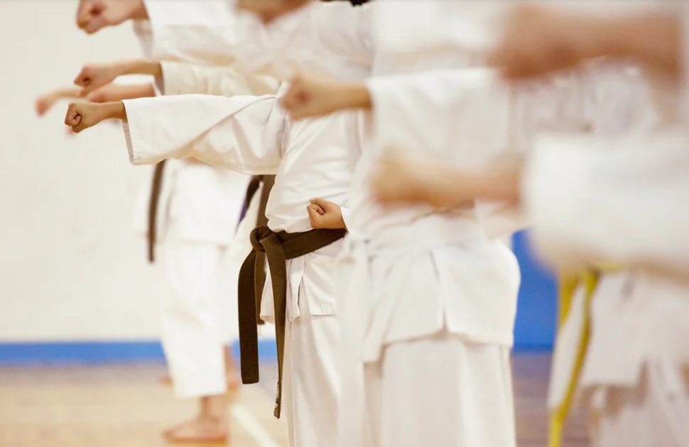 SAISONABSCHLUSS: Gürtelprüfung mit anschließendem Sommerfest 2018