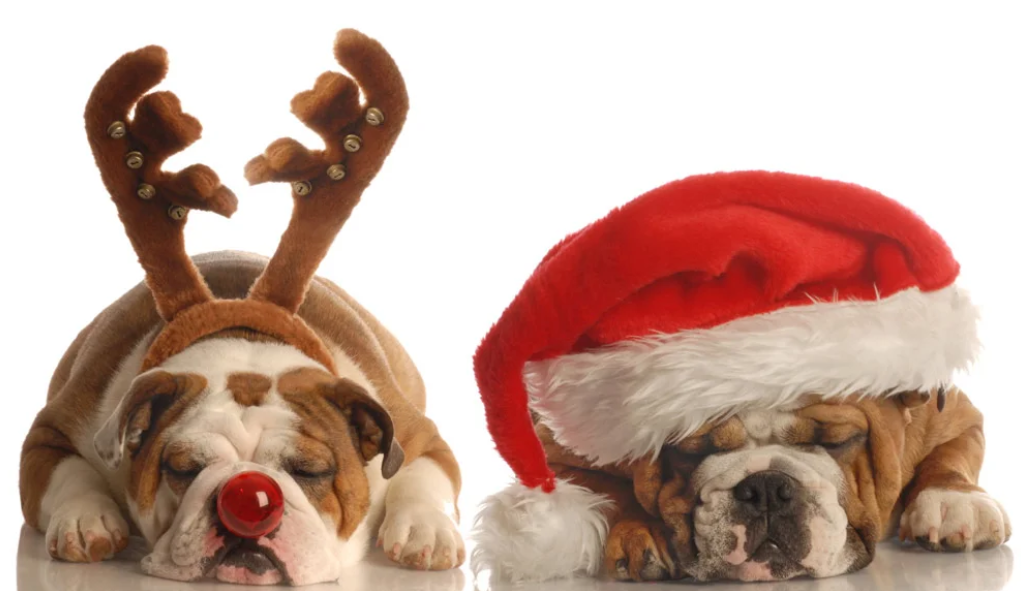 Frohe und Sportliche Weihnachtsgrüße!