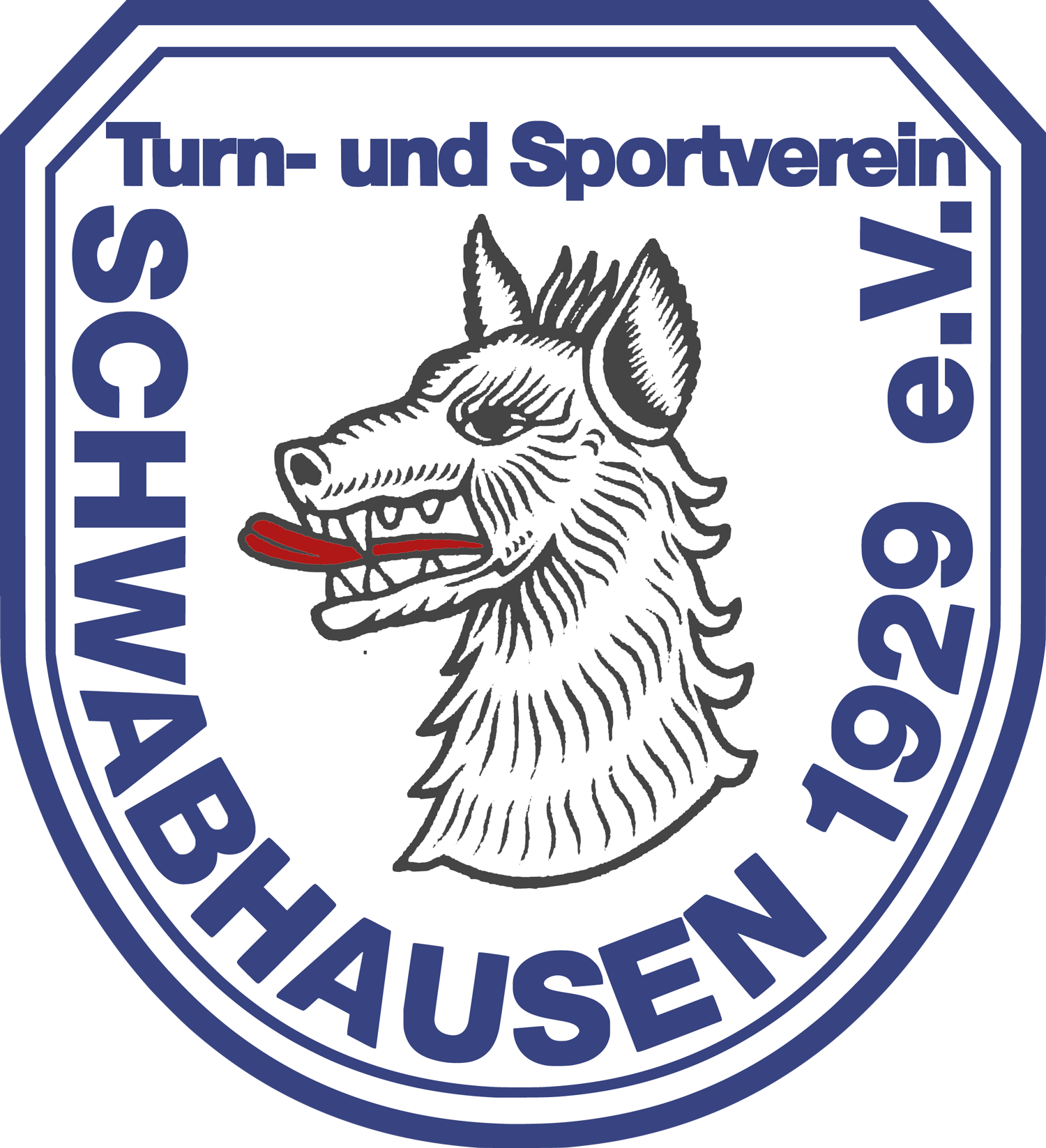 TSV Schwabhausen
